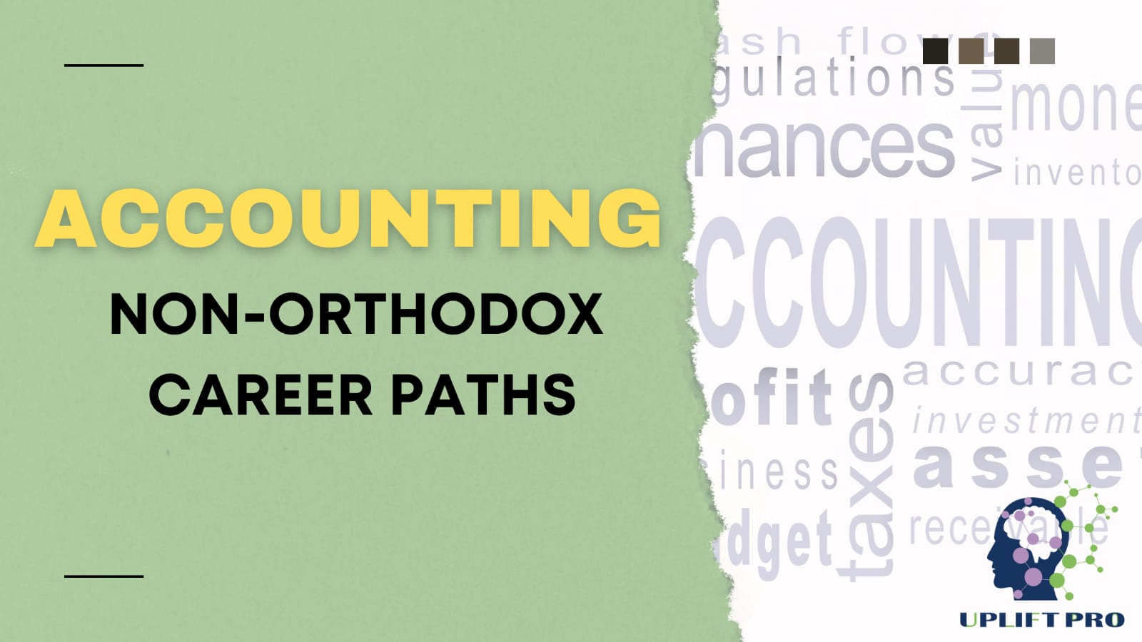 Accounting Career