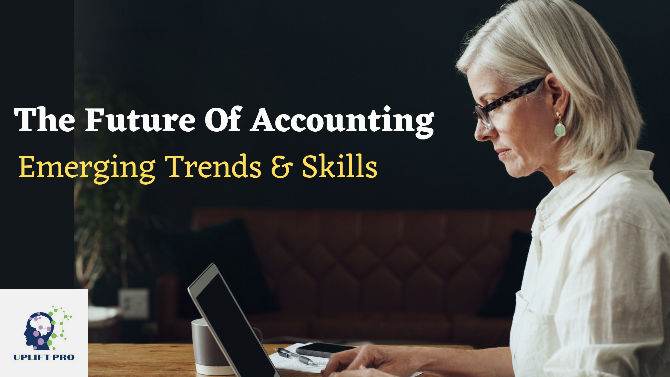 The Future of Accounting