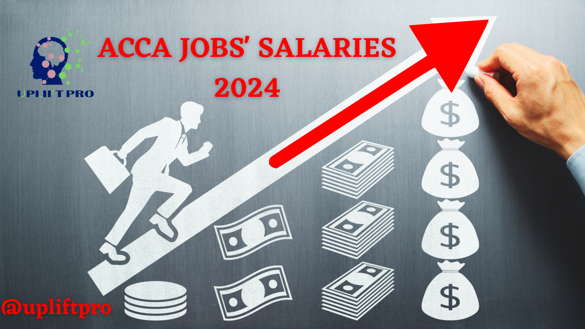 ACCA Jobs Salary: What to Expect in 2024 Across Different Regions ...