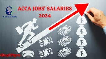 ACCA Jobs Salaries 2024