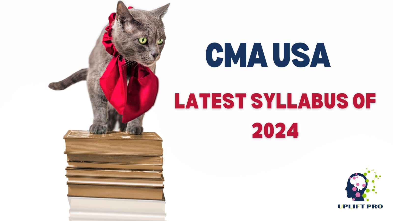 US CMA Syllabus 2024